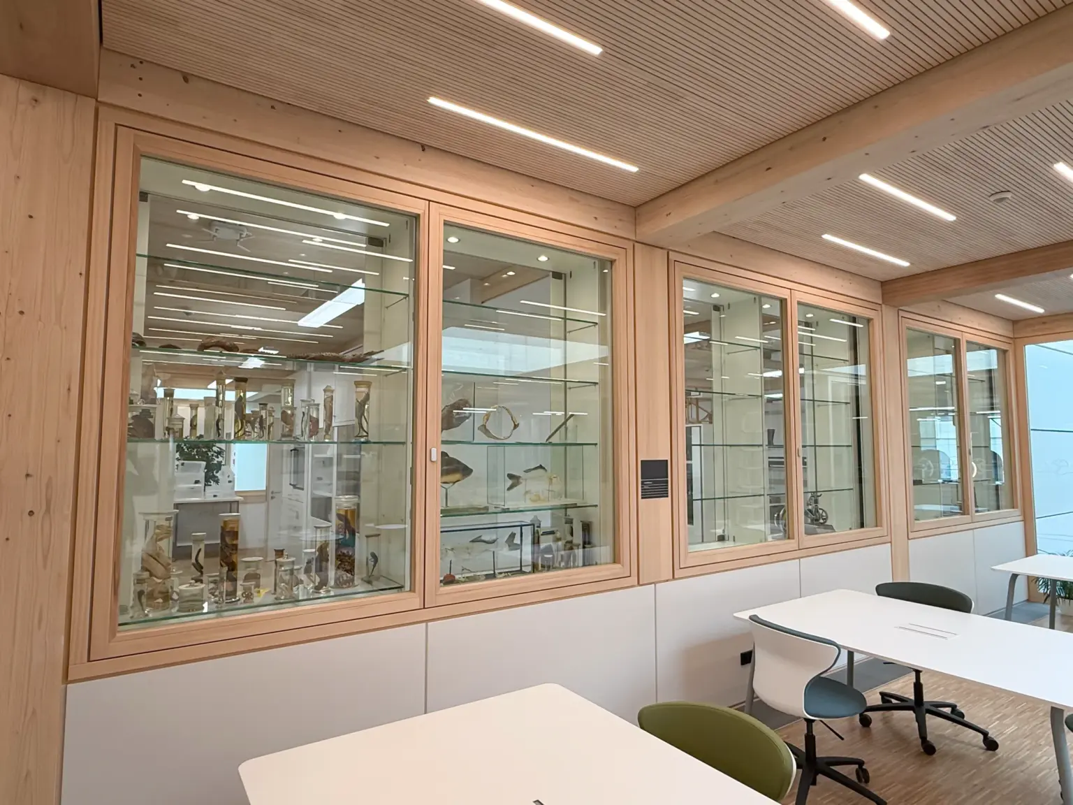 10KBF_HLB_20250918_0069